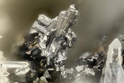 Diaphorite<br />Silver tunnel, Van Silver Property , Brandywine Creek, Vancouver Mining Division, Vancouver Island, British Columbia, Canada<br />FOV = 1.4 mm<br /> (Author: Doug)