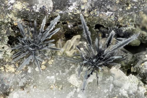 Acanthite<br />Mina Highland Bell, Beaverdell, Distrito minero Greenwood, Columbia Británica, Canadá<br />FOV = 2.3 mm<br /> (Author: Doug)