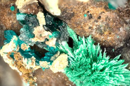 Pseudomalachite, Malachite, Dioptase<br />Mina Bonanza, Grupo Bonanza and Golden Eagle Mine, Pico Martin, Montes Little Harquahala, Salome, Distrito Little Harquahala, Condado La Paz, Arizona, USA<br />FOV = 3.4 mm<br /> (Author: Doug)