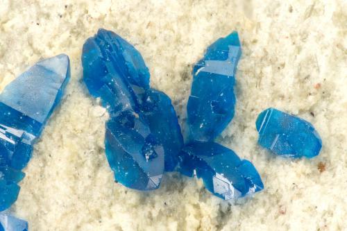 Cornetite<br />L'Etoile du Congo Mine, Lubumbashi (Elizabethville), Katanga Copper Crescent, Haut-Katanga (Shaba), Democratic Republic of the Congo (Zaire)<br />FOV = 1.5 mm<br /> (Author: Doug)