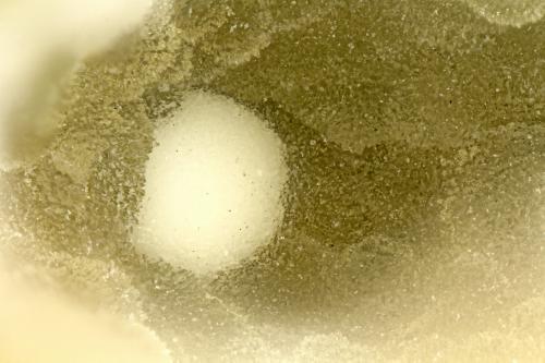 Boggsite, Tschernichite<br />Neer Road, Goble, Columbia County, Oregon, USA<br />FOV = 2.0<br /> (Author: Doug)