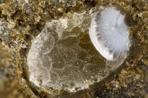 Boggsite, Tschernichite<br />Neer Road, Goble, Columbia County, Oregon, USA<br />FOV = 3.2 mm<br /> (Author: Doug)