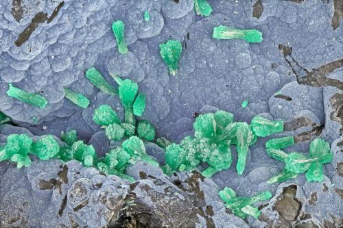 Malachite<br />Highland Valley Copper Mine, Logan Lake, Kamloops Mining Division, British Columbia, Canada<br />FOV = 4.0 mm<br /> (Author: Doug)