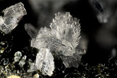 'Heulandite'<br />Arroyo Big Tree, Yacolt, Condado Clark, Washington, USA<br />FOV = 3.6 mm<br /> (Author: Doug)