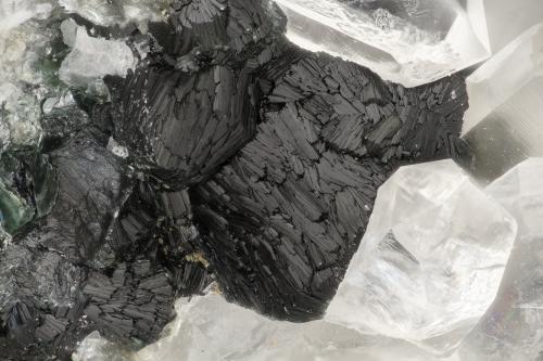 Clinochore<br />Hansen Creek Crystal area, Hansen Creek, North Bend, King County, Washington, USA<br />FOV = 3.8 mm<br /> (Author: Doug)