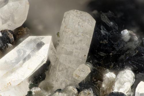 Fluorapatite<br />Hansen Creek Crystal area, Hansen Creek, North Bend, King County, Washington, USA<br />FOV = 3.2mm<br /> (Author: Doug)