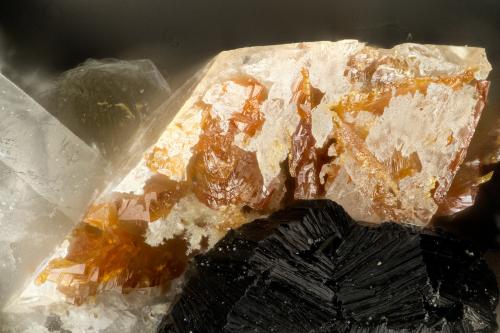 Titanite, Anatase, Brookite<br />Zona Hansen Creek Crystal, arroyo Hansen, North Bend, Condado King, Washington, USA<br />FOV = 1.7 mm<br /> (Author: Doug)