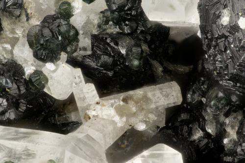 Fluorapatite<br />Hansen Creek Crystal area, Hansen Creek, North Bend, King County, Washington, USA<br />FOV = 3.1 mm<br /> (Author: Doug)