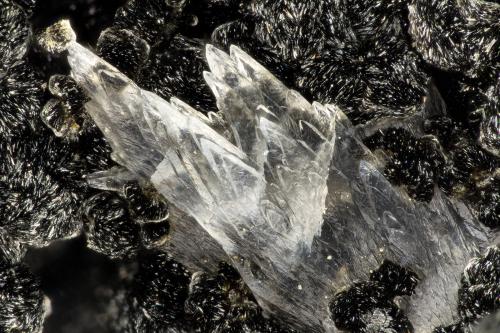 Calcite<br />Beaver Valley Quarry, Shine, Jefferson County, Washington, USA<br />FOV = 3.8 mm<br /> (Author: Doug)