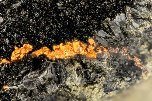 Copper<br />Beaver Valley Quarry, Shine, Jefferson County, Washington, USA<br />FOV = 3.1 mm<br /> (Author: Doug)