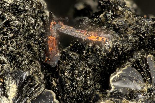 Copper<br />Beaver Valley Quarry, Shine, Jefferson County, Washington, USA<br />FOV = 2.1 mm<br /> (Author: Doug)