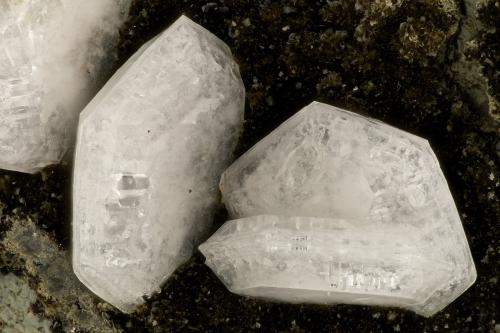 Levyne<br />Beaver Valley Quarry, Shine, Jefferson County, Washington, USA<br />FOV = 3.7 mm<br /> (Author: Doug)