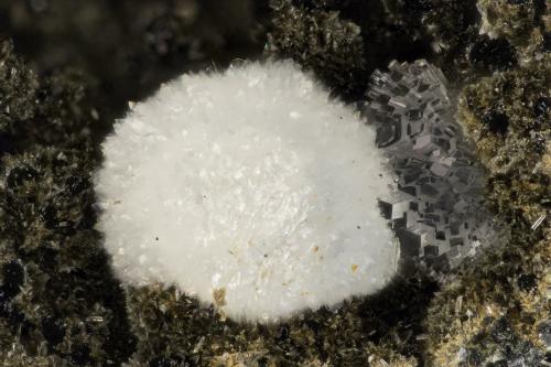 Cowlesite, 'Heulandite'<br />Big Tree Creek, Yacolt, Clark County, Washington, USA<br />FOV = 2.9 mm<br /> (Author: Doug)