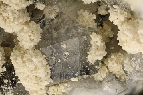 Phillipsite<br />Big Bend, Kimberley, Condado Grant, Oregon, USA<br />FOV = 4.0 mm<br /> (Author: Doug)