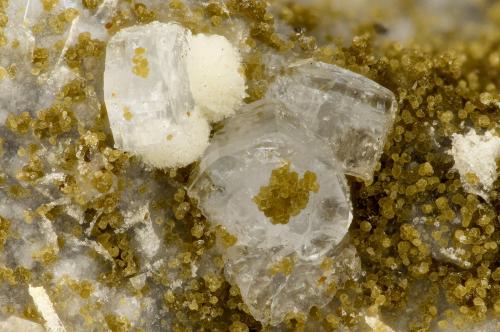Fluorapophyllite-(K)<br />Devils Backbone, North Fork of John Day River, Ritter, Grant County, Oregon, USA<br />FOV = 3.3 mm<br /> (Author: Doug)