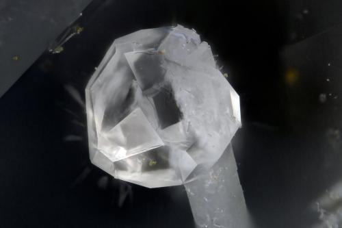 Analcime<br />Cantera Beaver Valley, Shine, Condado Jefferson, Washington, USA<br />FOV = 1.1 mm<br /> (Author: Doug)