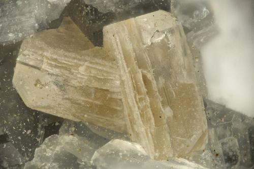 Fluorapophyllite-(K)<br />Big Bend, Kimberley, Grant County, Oregon, USA<br />FOV = 1.8 mm<br /> (Author: Doug)