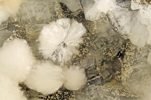 Gyrolite, Phillipsite<br />Big Bend, Kimberley, Grant County, Oregon, USA<br />FOV = 4.0 mm<br /> (Author: Doug)