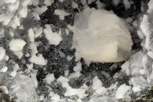 Gismondine, Gyrolite, Phillipsite<br />Devils Backbone, North Fork of John Day River, Ritter, Grant County, Oregon, USA<br />FOV = 3.4 mm<br /> (Author: Doug)