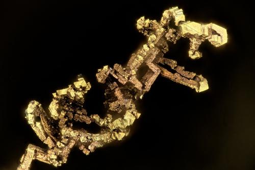 Copper<br />Beaver Valley Quarry, Shine, Jefferson County, Washington, USA<br />FOV = 1.8 mm<br /> (Author: Doug)
