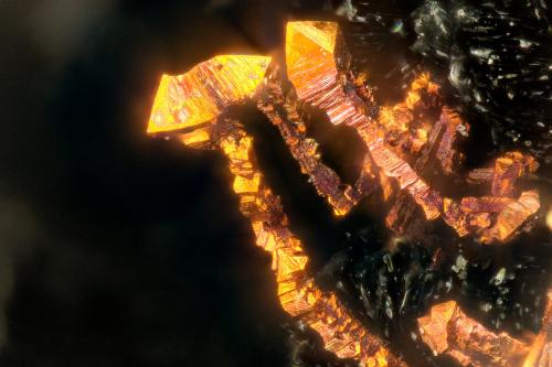 Copper<br />Beaver Valley Quarry, Shine, Jefferson County, Washington, USA<br />FOV = 1.1 mm<br /> (Author: Doug)