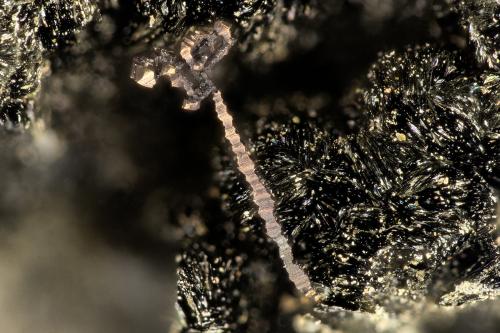 Copper<br />Beaver Valley Quarry, Shine, Jefferson County, Washington, USA<br />FOV = 2.7 mm<br /> (Author: Doug)
