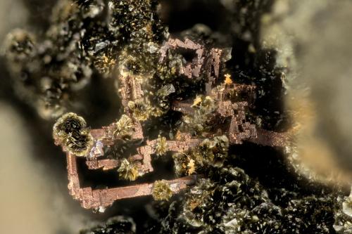 Copper<br />Beaver Valley Quarry, Shine, Jefferson County, Washington, USA<br />FOV = 2.5 mm<br /> (Author: Doug)