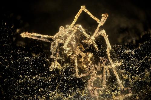 Copper<br />Beaver Valley Quarry, Shine, Jefferson County, Washington, USA<br />FOV = 4.2 mm<br /> (Author: Doug)