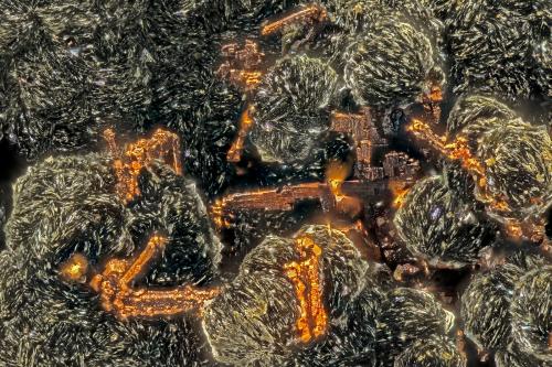 Copper<br />Beaver Valley Quarry, Shine, Jefferson County, Washington, USA<br />FOV = 3.4 mm<br /> (Author: Doug)