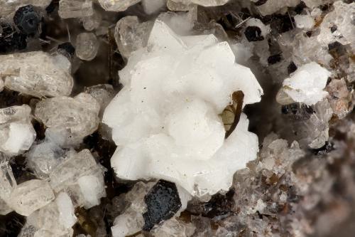 Cristobalite<br />Summit Rock, Klamath County, Oregon, USA<br />FOV = 3.3 mm<br /> (Author: Doug)