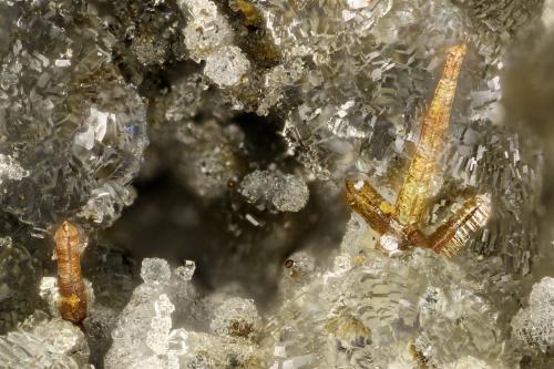 Pyrite, Clinoptilolite-Na<br />Cantera Yaquina Head, Agate Beach, Condado Lincoln, Oregon, USA<br />FOV = 2.6 mm<br /> (Author: Doug)