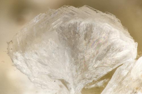 Gyrolite<br />Big Bend, Kimberley, Grant County, Oregon, USA<br />FOV = 3.4 mm<br /> (Author: Doug)