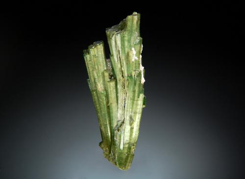 Elbaite<br />Chhappu, Shigar District, Gilgit-Baltistan (Northern Areas), Pakistan<br />2.5 x 6.6 cm<br /> (Author: crosstimber)