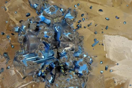 Chalcocite<br />Jaquish road cut Highway, Goble, Columbia County, Oregon, USA<br />FOV = 1.5 mm<br /> (Author: Doug)