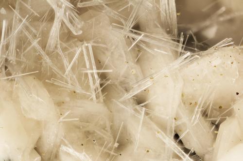 Natrolite, Levyne<br />Beaver Valley Quarry, Shine, Jefferson County, Washington, USA<br />FOV = 3.7 mm<br /> (Author: Doug)