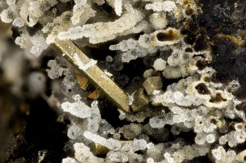Pyrite<br />Cantera Yaquina Head, Agate Beach, Condado Lincoln, Oregon, USA<br />FOV = 2.6 mm<br /> (Author: Doug)