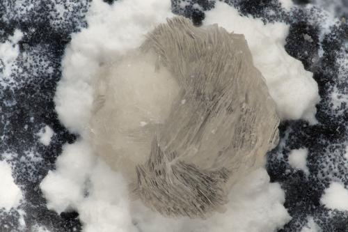 Gyrolite<br />Devils Backbone, North Fork of John Day River, Ritter, Grant County, Oregon, USA<br />FOV = 3.3 mm<br /> (Author: Doug)