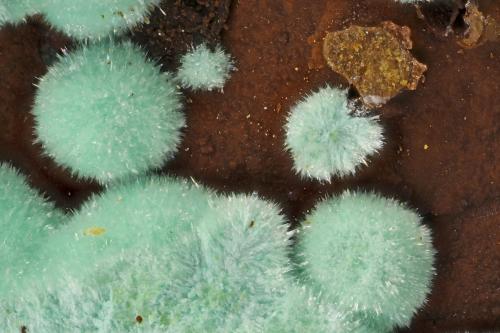 Strashimirite<br />Majuba Hill Mine, Antelope District, Pershing County, Nevada, USA<br /><br /> (Author: Doug)