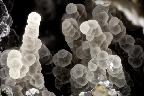 Thomsonite<br />Four Mile Quarry, Porter, Grays Harbor County, Washington, USA<br />FOV = 3.6 mm<br /> (Author: Doug)