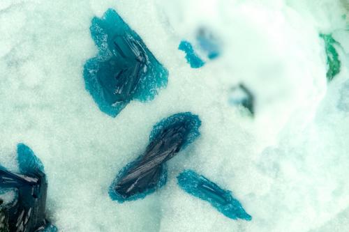Clinoclase<br />Majuba Hill Mine, Antelope District, Pershing County, Nevada, USA<br />FOV = 1.3 mm<br /> (Author: Doug)