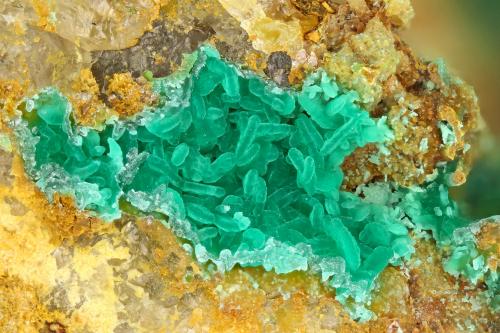 Cornwallite<br />Majuba Hill Mine, Antelope District, Pershing County, Nevada, USA<br />FOV = 3.0 mm<br /> (Author: Doug)