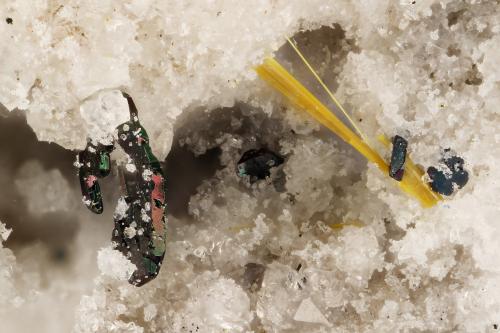 Holfertite<br />Holfertite pit, Starvation Canyon (Searles Canyon), Thomas Range, Juab County, Utah, USA<br />FOV = 2.9 mm<br /> (Author: Doug)