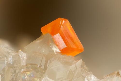 Wulfenite<br />Florence Mine, Ripsey Hill area, Tortilla Mountains, Kearney, Ripsey District, Pinal County, Arizona, USA<br />FOV = 0.9 mm<br /> (Author: Doug)