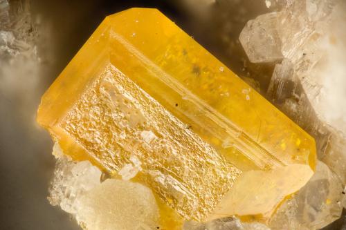 Wulfenite<br />Florence Mine, Ripsey Hill area, Tortilla Mountains, Kearney, Ripsey District, Pinal County, Arizona, USA<br />FOV = 1.8 mm<br /> (Author: Doug)