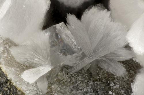 Thomsonite<br />Upper Ritter Quarry, Ritter, Grant County, Oregon, USA<br />FOV = 3.5 mm<br /> (Author: Doug)