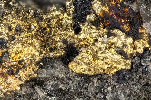 Gold<br />Silbak Premier Mine, Stewart, Skeena Mining Division, British Columbia, Canada<br />FOV = 1.9 mm<br /> (Author: Doug)