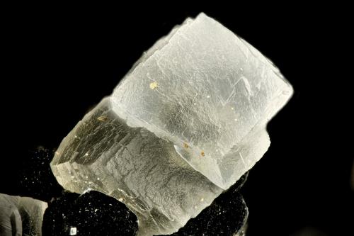 Calcite<br />Beaver Valley Quarry, Shine, Jefferson County, Washington, USA<br />FOV = 1.7 mm<br /> (Author: Doug)