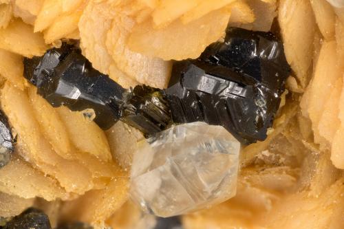 Sphalerite, Siderite, Quartz<br />Mina Keystone, Paso Coquihalla, División Nicola Mining, Columbia Británica, Canadá<br /><br /> (Author: Doug)