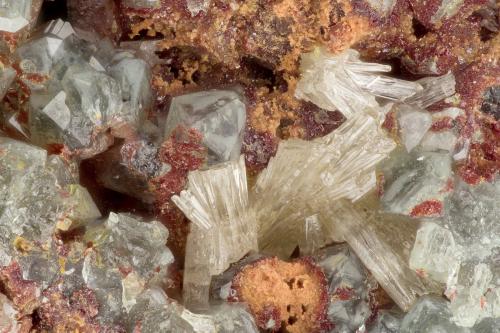 Mimetite, Carminite, Scorodite<br />Gold Hill Mine, Gold Hill, Gold Hill District, Tooele County, Utah, USA<br />FOV = 3.0 mm<br /> (Author: Doug)