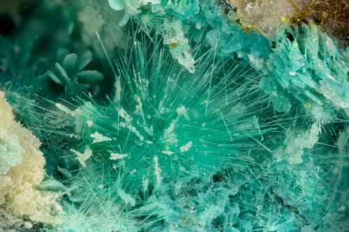 Mixite<br />Gold Hill Mine, Gold Hill, Gold Hill District, Tooele County, Utah, USA<br />FOV = 3.6 mm<br /> (Author: Doug)